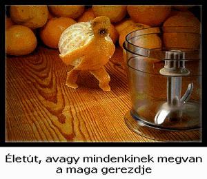 Életút